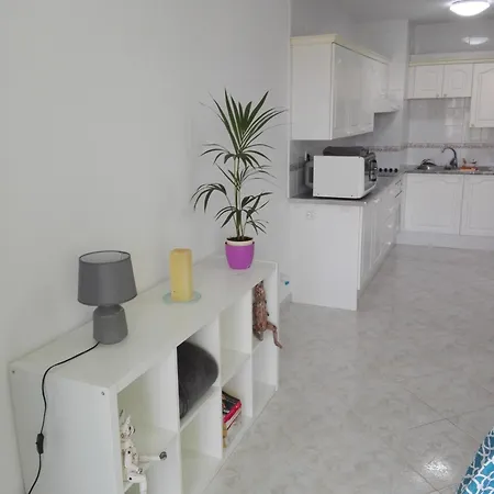 Large Loft Sueno Azul Ocean View * 卡亚俄萨尔瓦赫